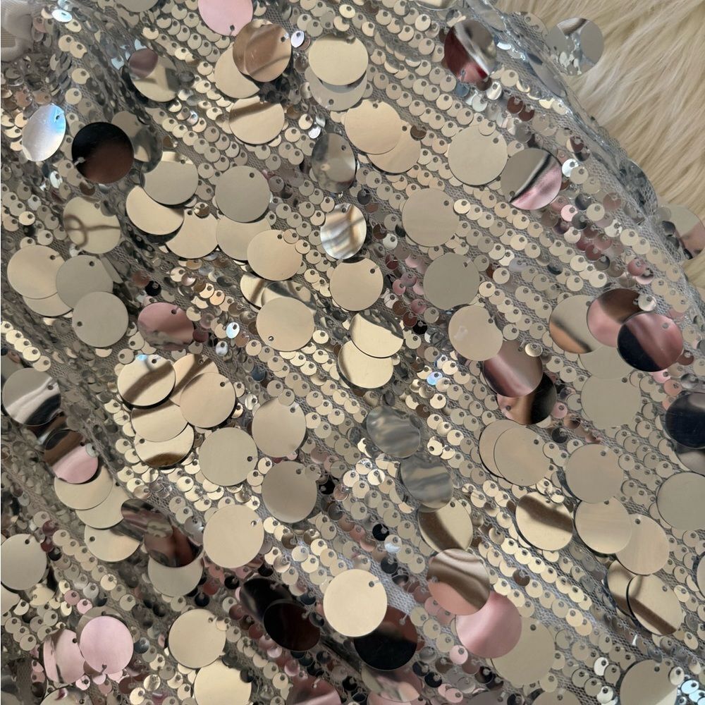 Silver sequin skirt - Picture 10 of 10